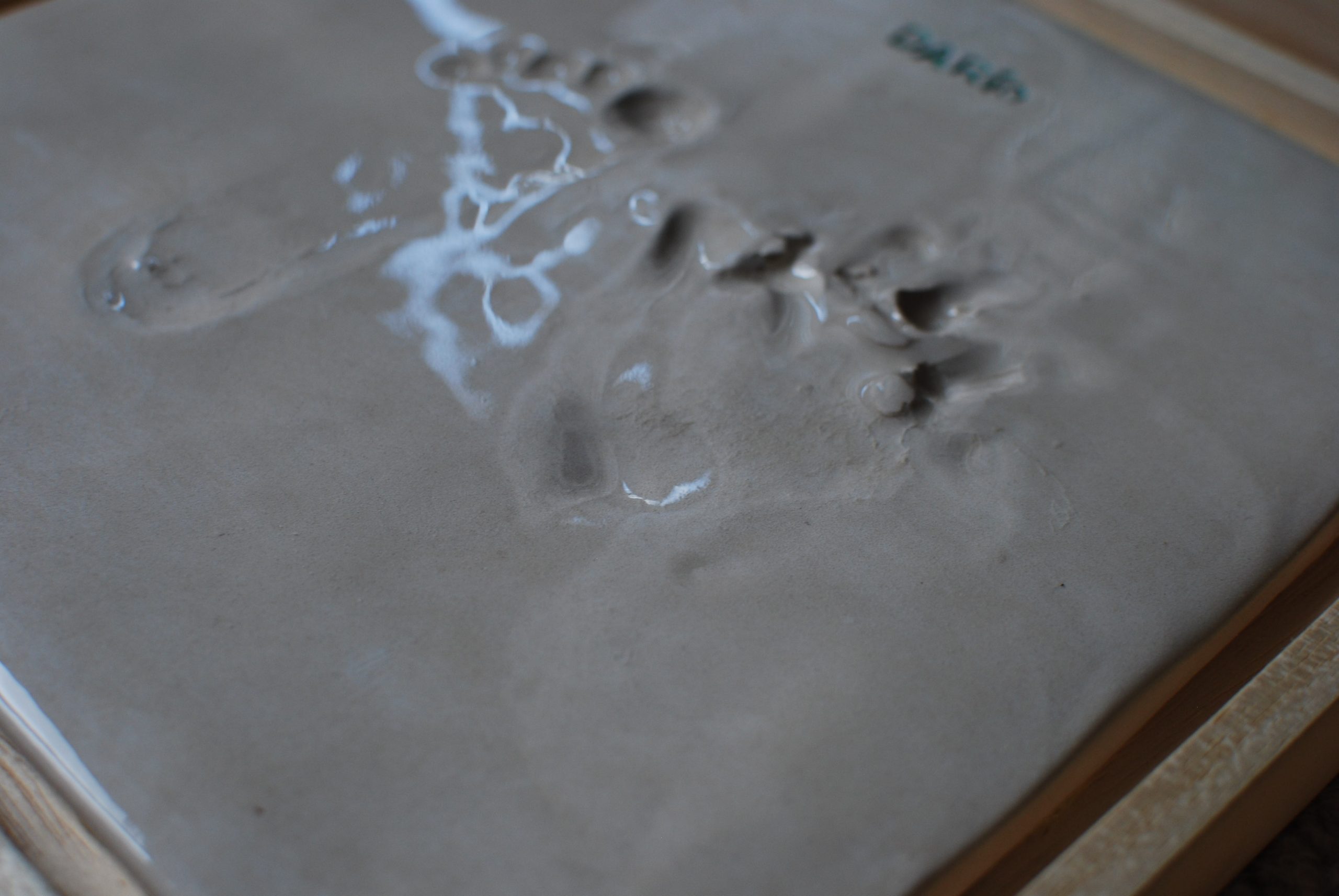 Azulejo con huellitas de bebé o mascota - Imagen 5